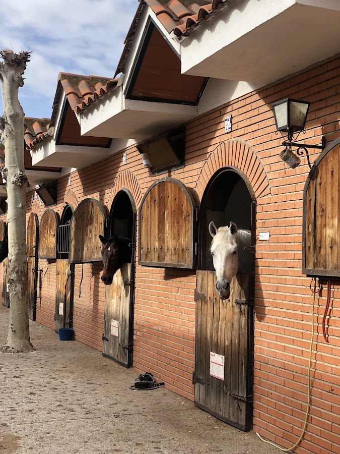 Centro Ecuestre Real Hípica de Griñón