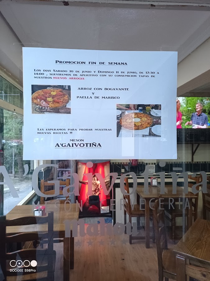 Meson A'Gaivotiña