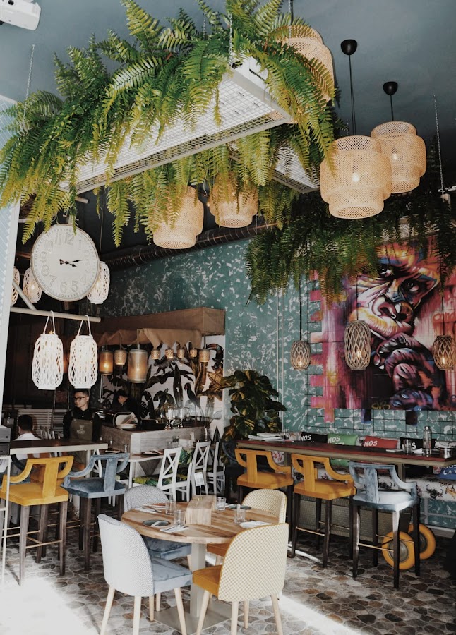 Monkey Fun Kitchen | Recomendado